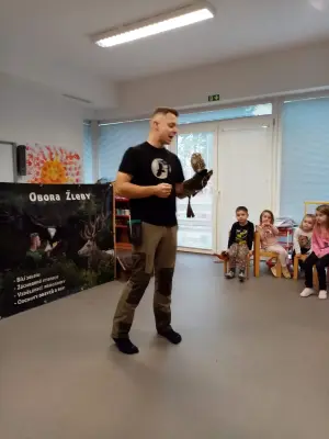 Noční život zvířat