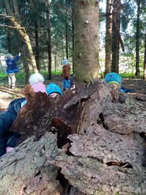 Uspávání broučků