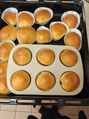 IMG20260219121012(1)