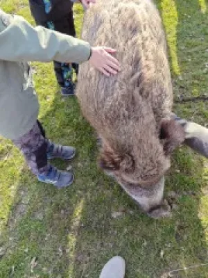 nasems_fotogalerie_foto (1)