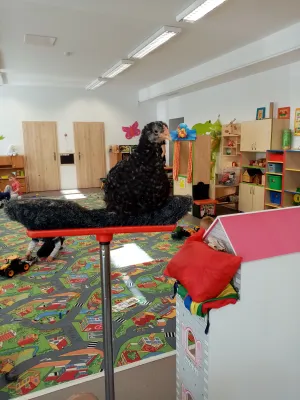 Učíme se se zvířátky